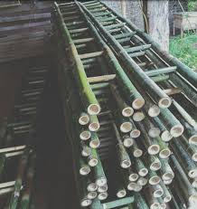 Thang tre chất lượng